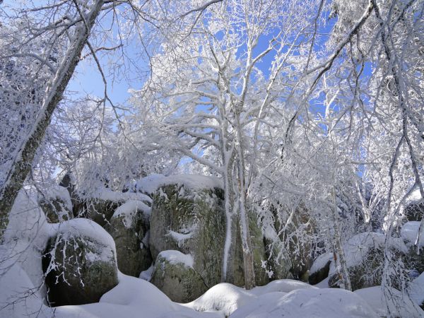 Furtwangen Guenterfelsen Winter 01 05072018