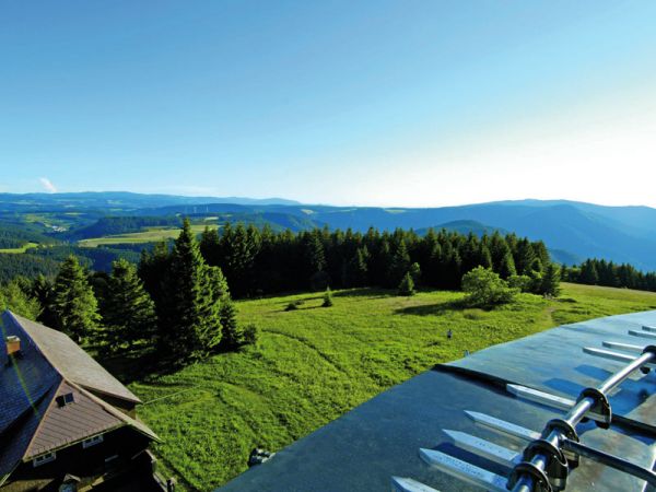 Tolle Aussicht auf den Schwarzwald vom Brendturm