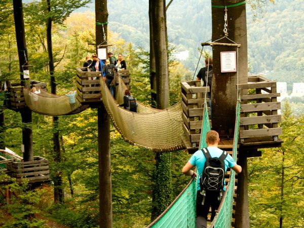 Hochhinaus! Baumkronenweg in Waldkirch