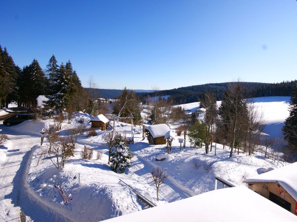 Aussicht auf die schneebedeckte Umgebung im Winter