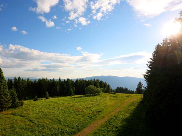 Schwarzwald pur! Genießen Sie die Aussicht und entdecken Sie die Schöhnheit der Natur.