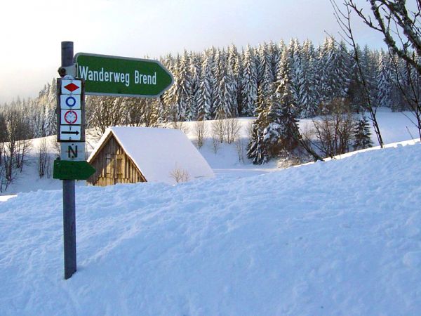 Wanderweg zum Brend - egal ob im Winter oder Sommer!