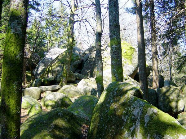 Günterfelsen - die größten bekannten Felsblöcke aus Triberger Granit